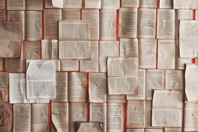Julia Shipley Wrote About An Abolitionist Overlooked By History