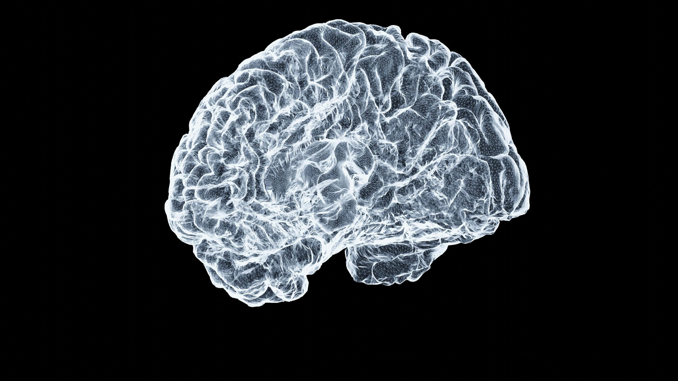 William Brennan Reported On Terminal Lucidity
